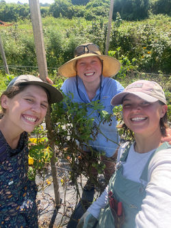 Moonrose farm crew