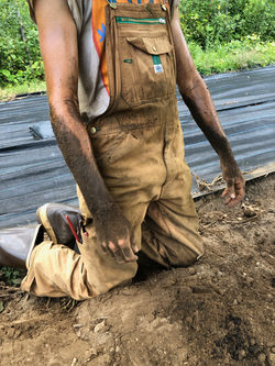 getting down with dirt