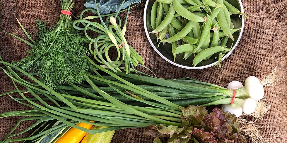 Summer Cooking Class