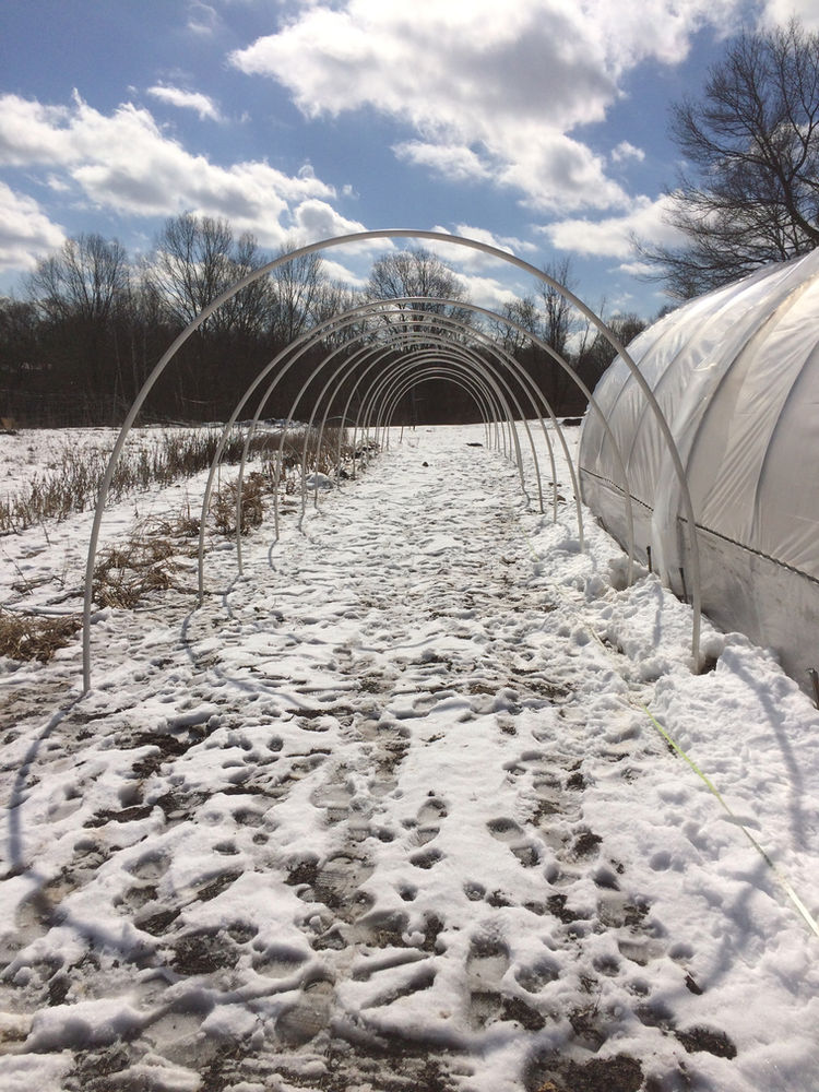 How to build a caterpillar tunnel