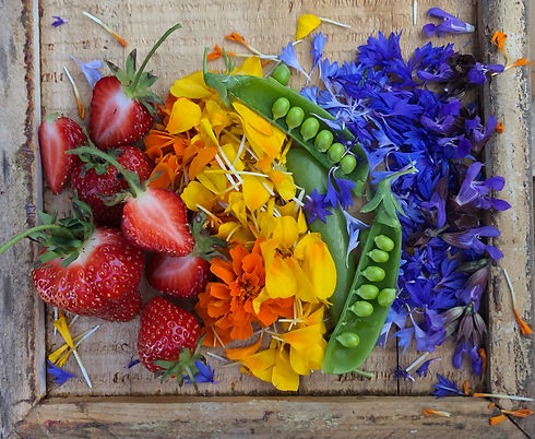 pride veggie rainbow.jpeg