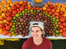tomato rainbow