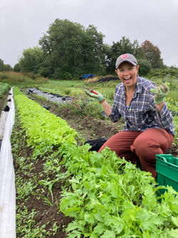 the joy of a perfect bed of greens