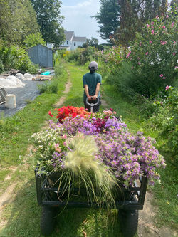Bringing in the flower harvest