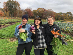 celebrating fall abundance