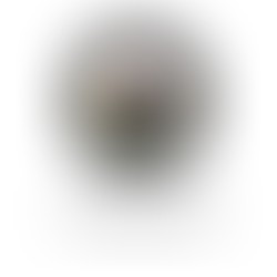 From Vanity Press Limitations to Amazon Bestseller