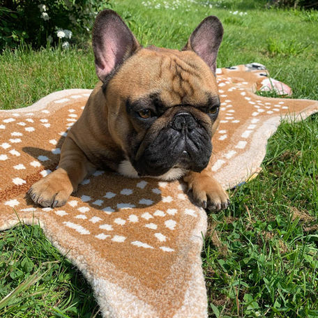 2022-04-30 13.37.26 2827788218348455810_269143834.jpg