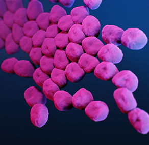 Superbacterias en 3 minutos: Iraqibacter