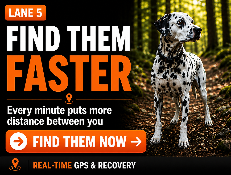 Lane 5: Real-Time GPS and Recovery graphic showing a Dalmatian running along a wooded trail in warm sunlight. The image emphasizes frequent location updates, movement tracking, and broad network connectivity designed to help pet parents follow a missing dog’s changing location, act quickly, and bring the dog home sooner.