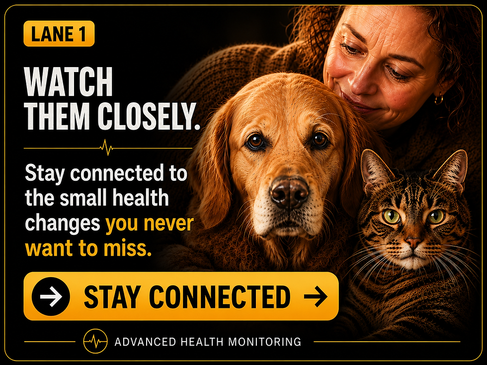 Companion Safety Lane — Every Pet Has a Different Story. Every Need Has a Lane. A dog and cat face different paths representing pet health monitoring, daily wellness, real-time GPS safety, off-grid tracking, activity and fitness, sleep and stress insights, and safer training boundaries, helping pet parents understand their companion’s needs and choose the type of monitoring or safety support that fits their life.