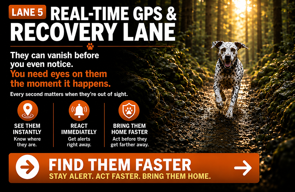 Lane 5: Real-Time GPS and Recovery graphic showing a Dalmatian running along a wooded trail in warm sunlight. The image emphasizes frequent location updates, movement tracking, and broad network connectivity designed to help pet parents follow a missing dog’s changing location, act quickly, and bring the dog home sooner.
