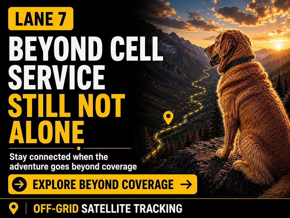Lane 7: Smart Boundary and Training graphic showing a chocolate Labrador wearing a GPS collar and sitting beside a glowing virtual boundary on a tree-lined path. The image illustrates how customized boundaries, consistent training, and location awareness can help a dog learn safer habits while giving pet parents greater confidence to allow supervised outdoor freedom.