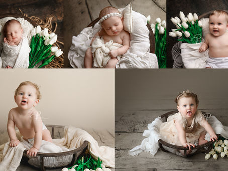 Cake Smash| Wild ONE but Sweet One| Mebane/ Burlington/ Gibsonville North Carolina Baby Photographer