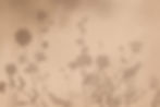 background-with-floral-field-shadow_53876-104815 (1).jpg