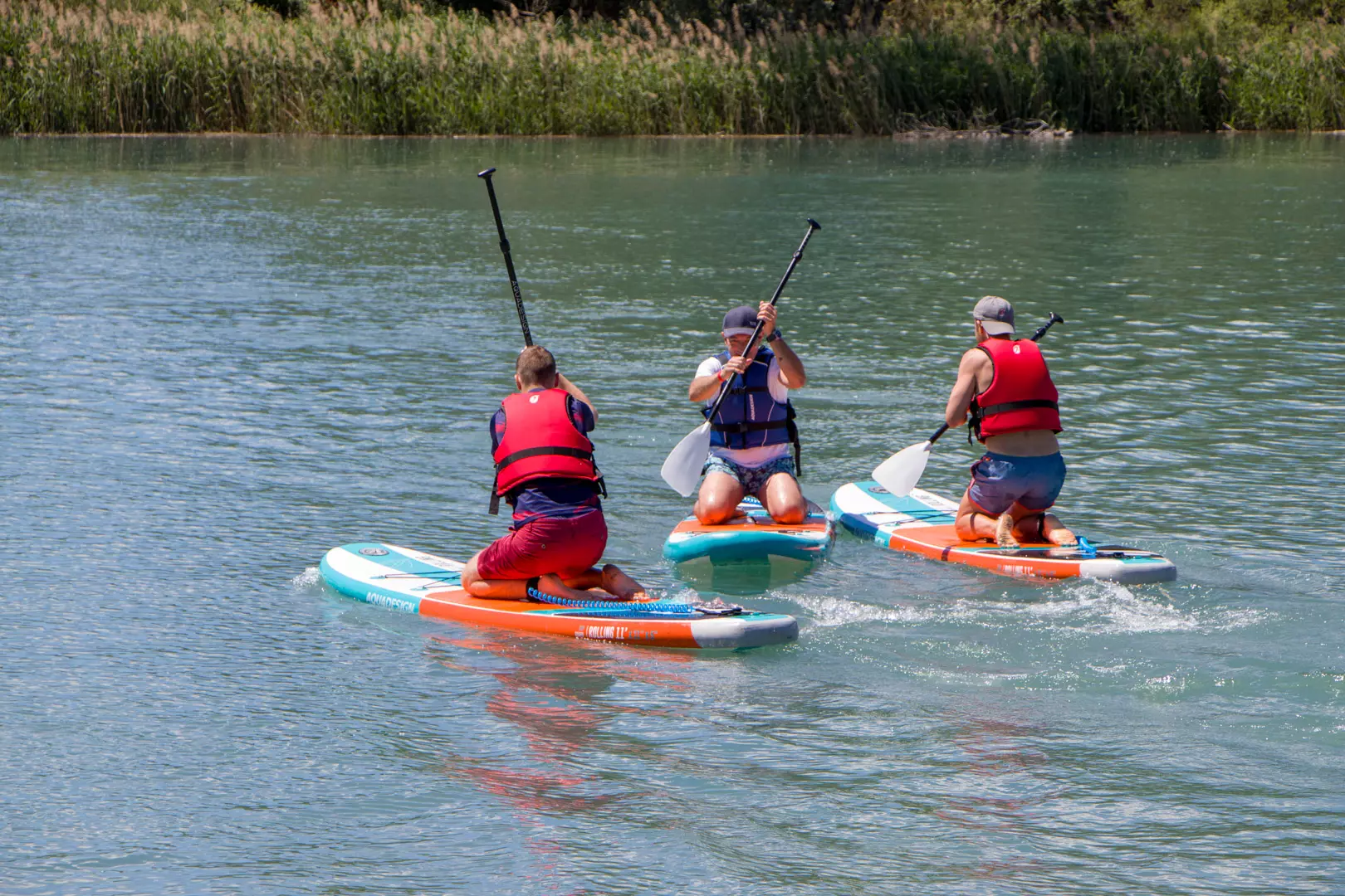 paddles.webp
