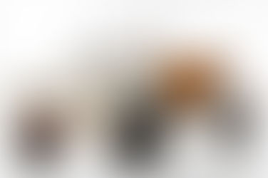 Fiat 600 Spiaggina - 1965