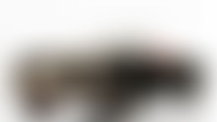 MG A 1600 MK I - 1959