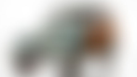 Fiat Topolino Belvedere - 1950