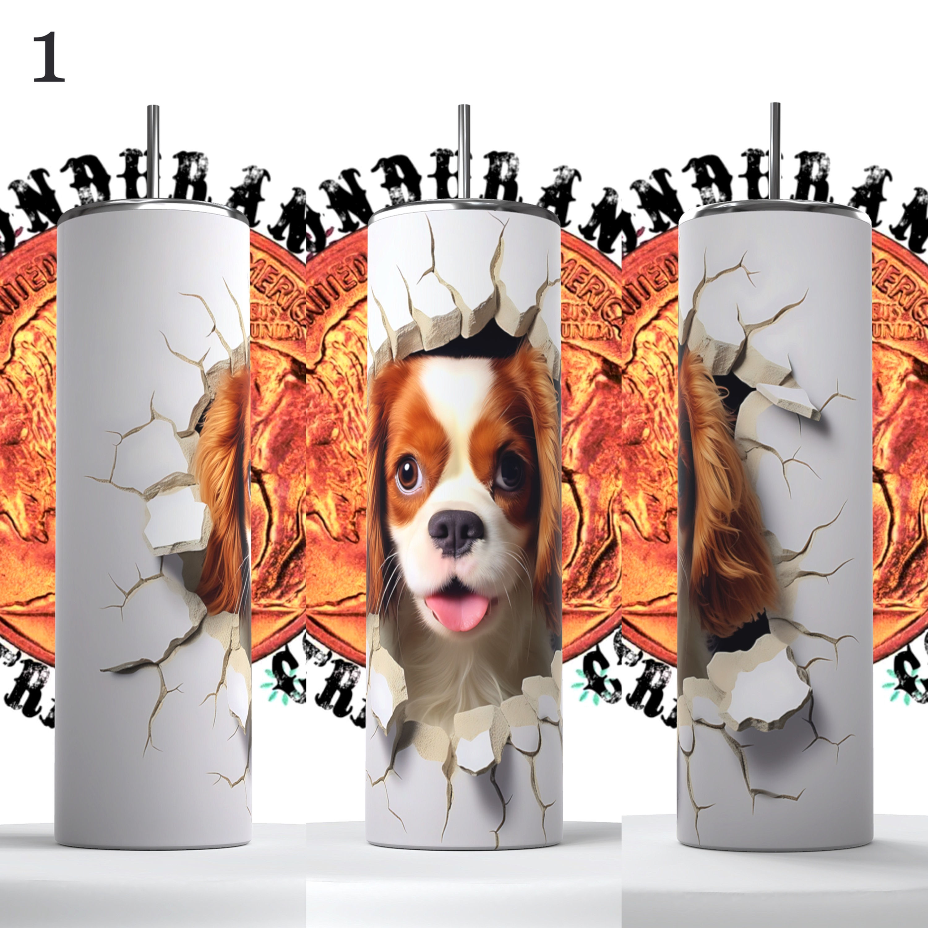 Cavalier King Charles Spaniel