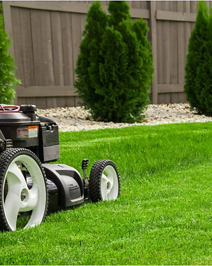 LawnMow_edited.jpg