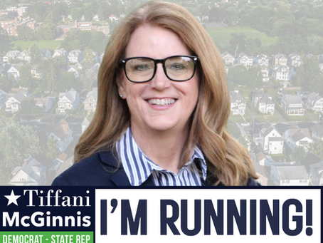 I'm Running for State Rep!