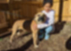 Fostering a Dog Saves Lives