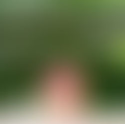 🏡 ¿Comprar o rentar? Descubre qué opción es mejor para ti