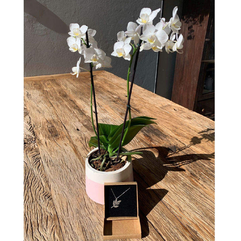 Kit Sublime - Joia e Orquídea no vaso artesanal