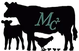 tmpif64tnl3.webp