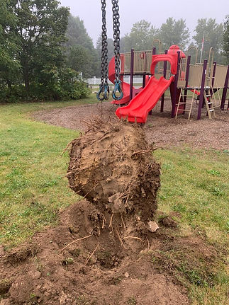 WhatsApp Image 2021-01-17 at 11.02.47 AM