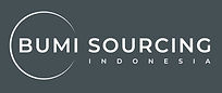 BSI Logo Teal.jpg