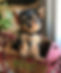5F3FE8CA-5F46-4329-B969-C03728EECD66.jpe