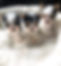 thumbnail (1)_edited_edited_edited_edite