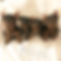 2739D06F-7C7B-480F-AF8E-699862F7EB1F.jpe