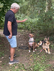 Goed opletten. Focus op de coach