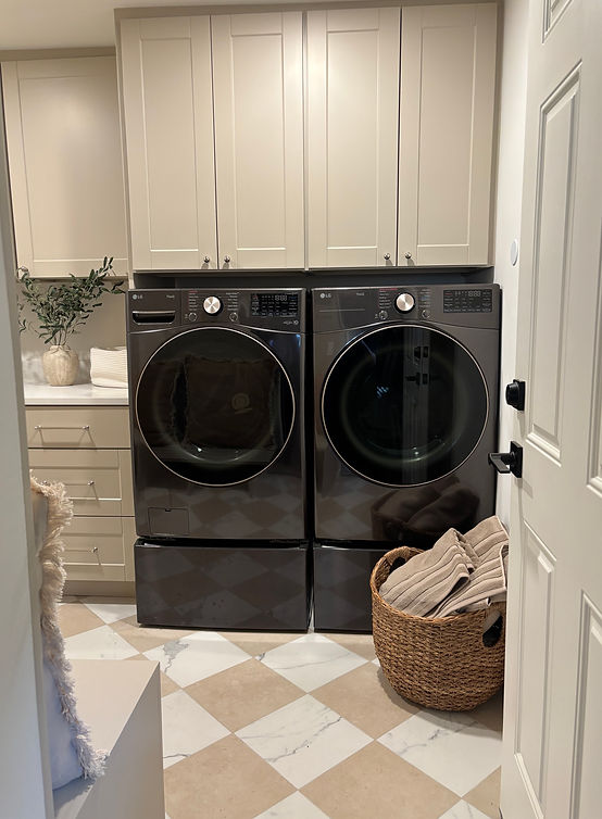 C mud washer dryer.jpg
