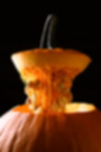 Pumpkin STEAM activities for kids: counting and sorting pumpkin seeds