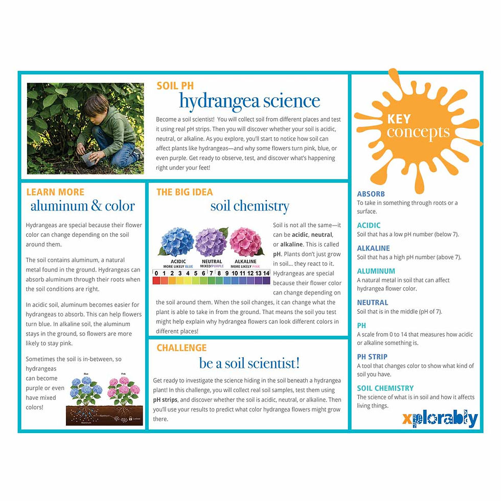 Thumbnail: Hydrangea science activity page for kids explaining soil pH, aluminum, and how soil conditions can affect hydrangea flower co