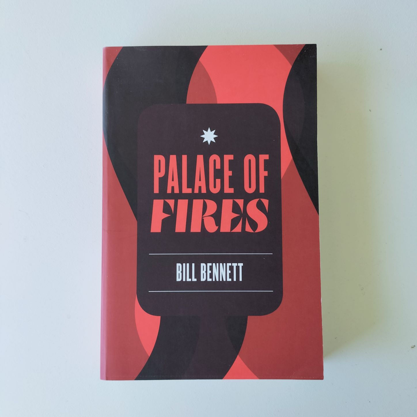 Palace of Fires  Bill Bennett  Birch Books