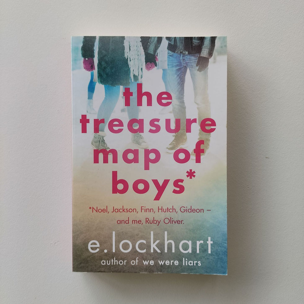Birch Books  E Lockhart  The Treasure Map of Boys