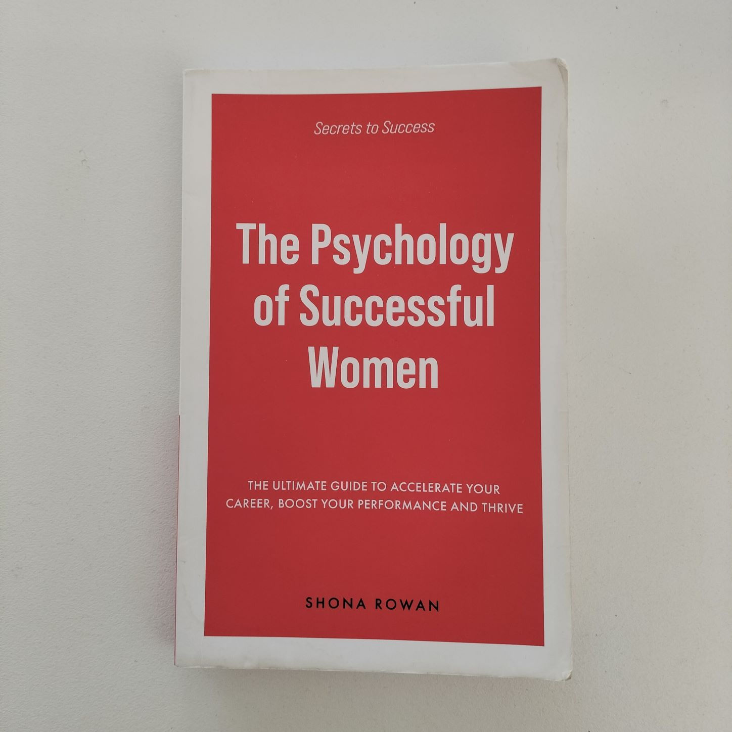 The Psychology of Successful Women Birch Books