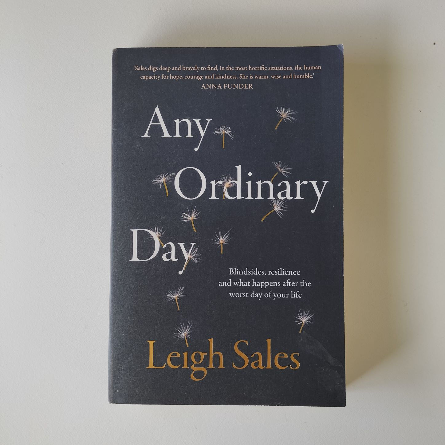 Any Ordinary Day  Leigh Sales  Birch Books