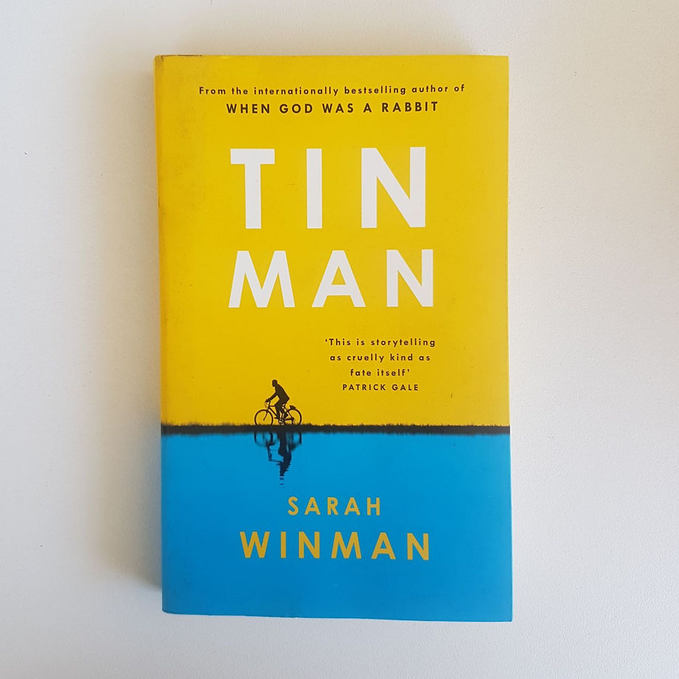 Tin Man Sarah Winman Birch Books