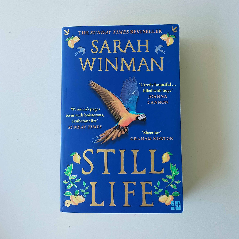 Still Life  Sarah Winman  Birch Books