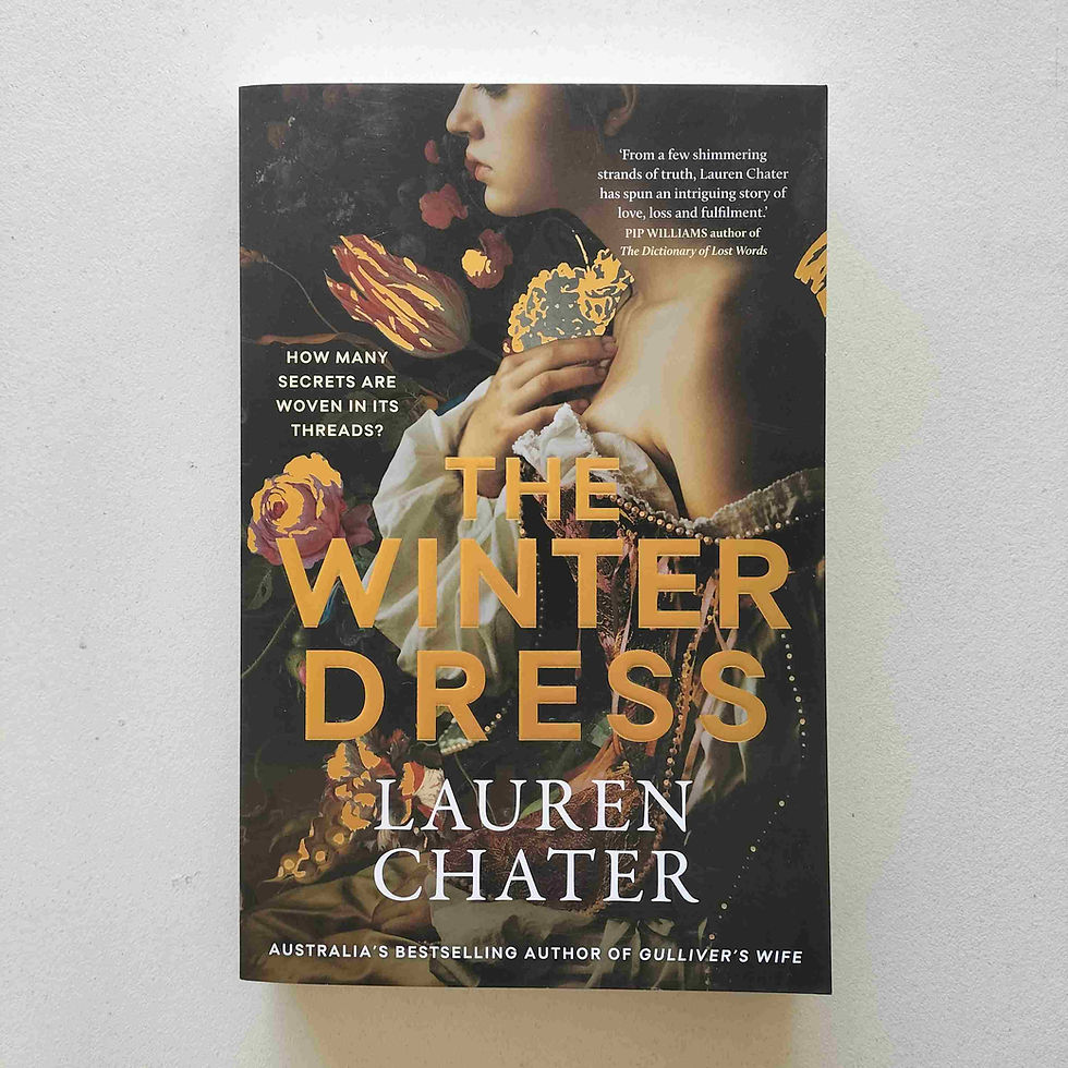 The Winter Dress  Lauren Chater  Birch Books