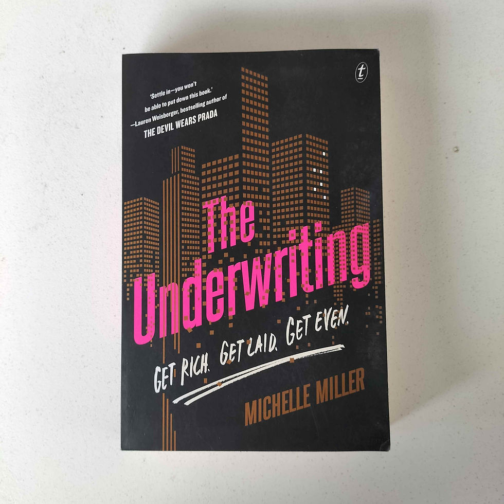 The Underwriting  Michelle Miller   Birch Books