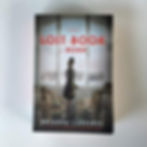 The Lost Book of Bonn Brianna Labuskes Birch Books