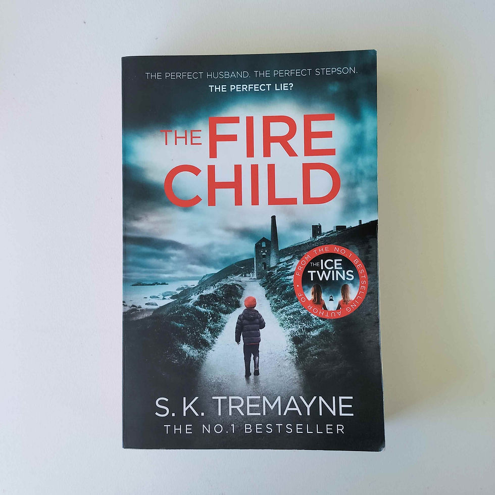 The Fire Child  S K Tremayne  Birch Books