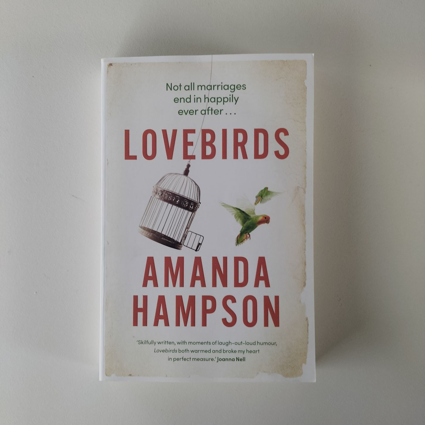 Lovebirds Amanda Hampson Birch Books