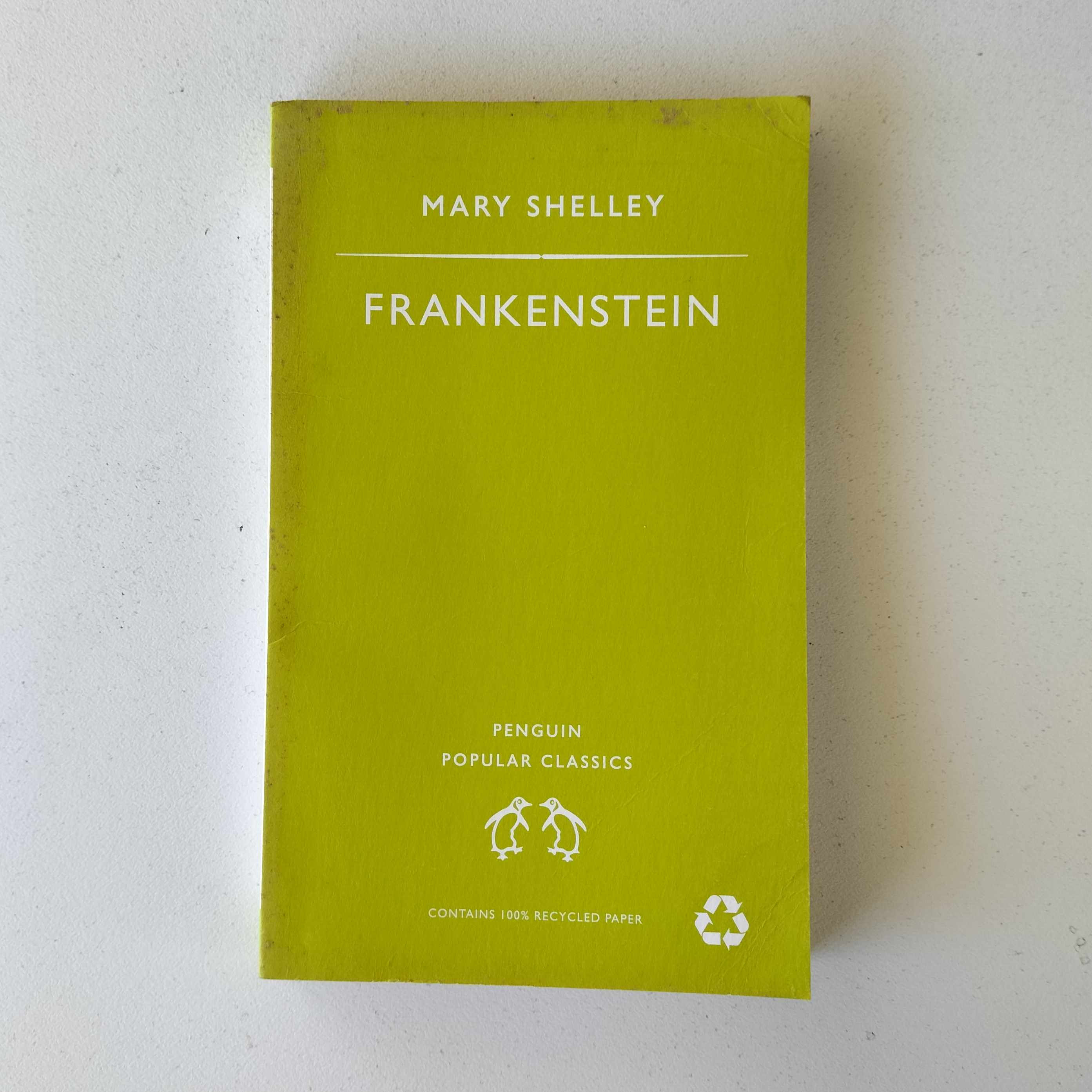 Frankenstein  Mary Shelley  Birch Books